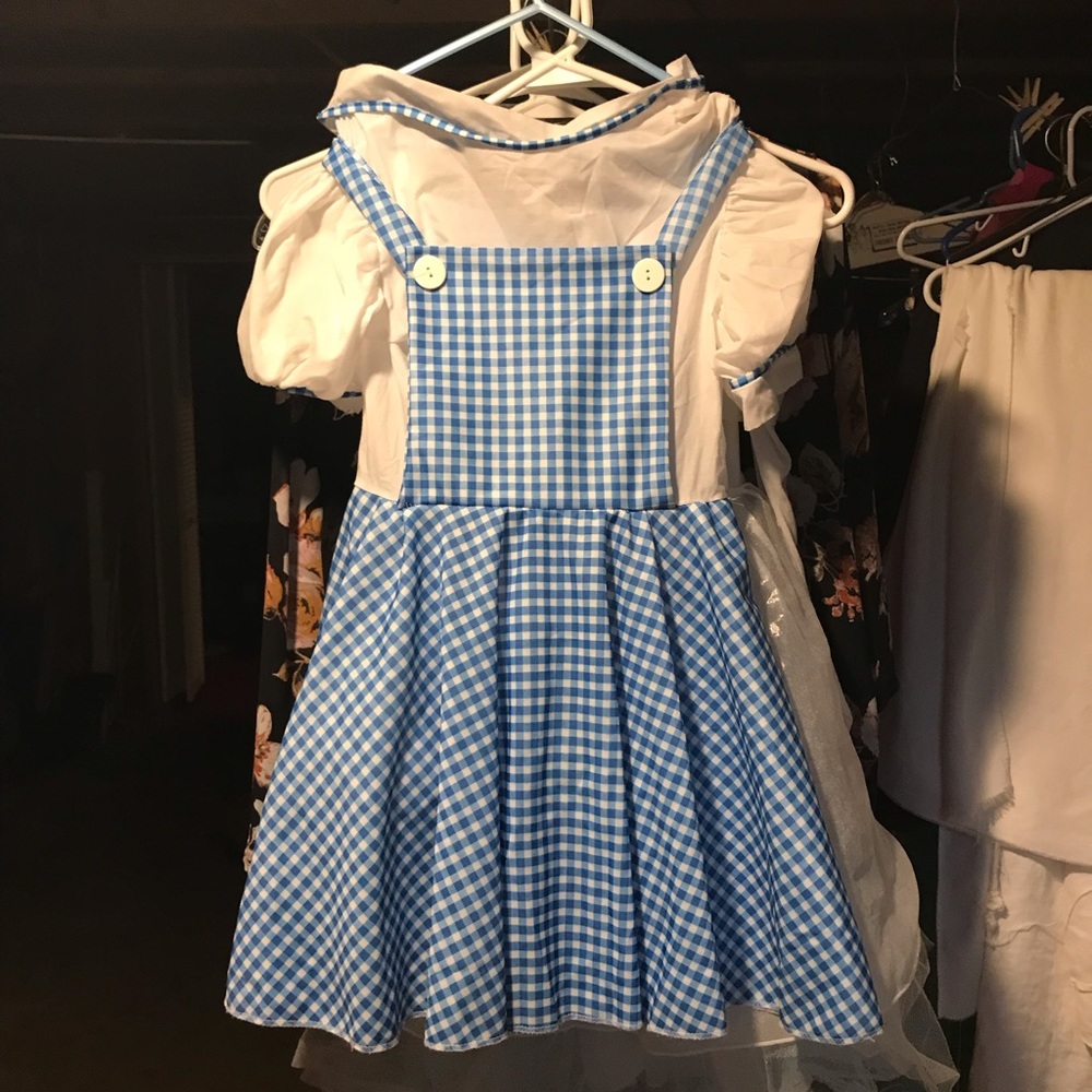 Wizard of Oz Dorothy dress up / Halloween